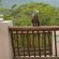 Chestnut Country Lodge - 254152