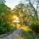 Chestnut Country Lodge - 254156