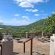 Chestnut Country Lodge - 254157
