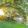 Chestnut Country Lodge - 254159