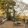 Chestnut Country Lodge - 254161