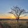 Vula Valla Game & Safaris - Natural landscape
