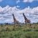 Vula Valla Game & Safaris - Natural landscape