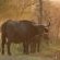 Vula Valla Game & Safaris - Natural landscape