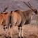 Vula Valla Game & Safaris - Natural landscape