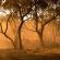 Vula Valla Game & Safaris - Natural landscape