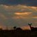 Vula Valla Game & Safaris - Natural landscape