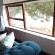 Colchester Suites - 254299