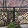 Book a House 14 - View (from property/room)