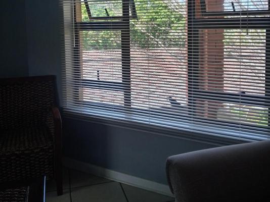 Room image 13