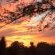 Wensleydale Guest Lodge - 254376