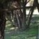 Wensleydale Guest Lodge - 254383