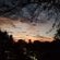 Wensleydale Guest Lodge - 254384