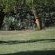 Wensleydale Guest Lodge - 254385