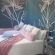 Immanuel Guest House - 254429