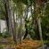 La Roca Guest House - 254458