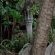 La Roca Guest House - 254460