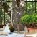Le Grand Jardin Villa - 254613