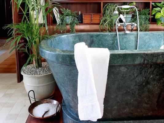 Le Grand Jardin Villa - 254614