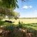 Mohlabetsi Safari Lodge - 254719