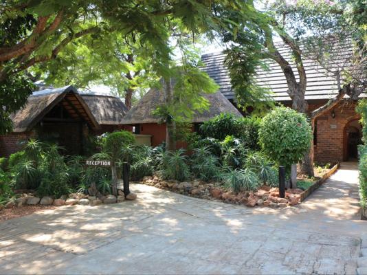 Mohlabetsi Safari Lodge - 254720
