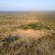 Mohlabetsi Safari Lodge - 254727