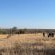 Mohlabetsi Safari Lodge - 254730