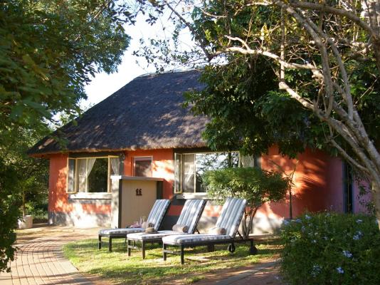 Mohlabetsi Safari Lodge - 254748