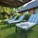 Mohlabetsi Safari Lodge - 254753