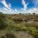 De Villiers Hof, Langebaan, 4 Sleeper - 254804