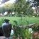 De Stallen Guest House - 254941