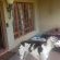 De Stallen Guest House - 254957