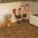 De Stallen Guest House - 254962