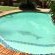 Map's View Guesthouse - 254998