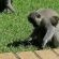 Hillton Manor Self-catering Apartments - Natural landscape