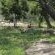 Zabini Lodge and Game Drive - Neighbourhood