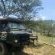 Zabini Lodge and Game Drive - Neighbourhood