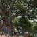 Zabini Lodge and Game Drive - Patio