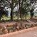 Zabini Lodge and Game Drive - Patio