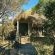 House Marape - 255473