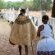 Zebra Nature Reserve - 255485
