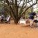 Zebra Nature Reserve - 255504
