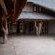 Zebra Stables- Standard Room
