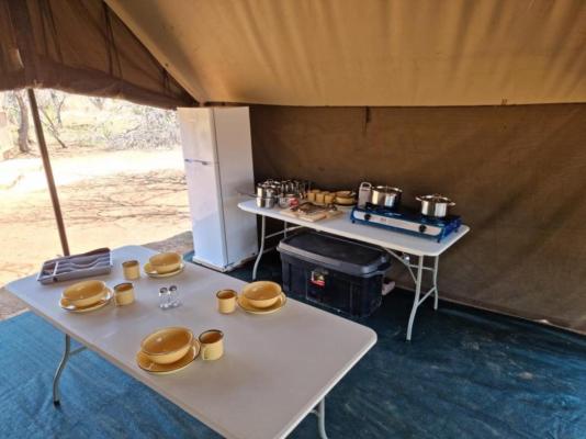 Little Zebra Tents