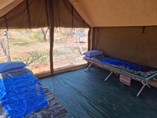 Little Zebra Tents