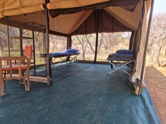 Little Zebra Tents