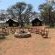Little Zebra Tents
