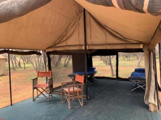 Little Zebra Tents