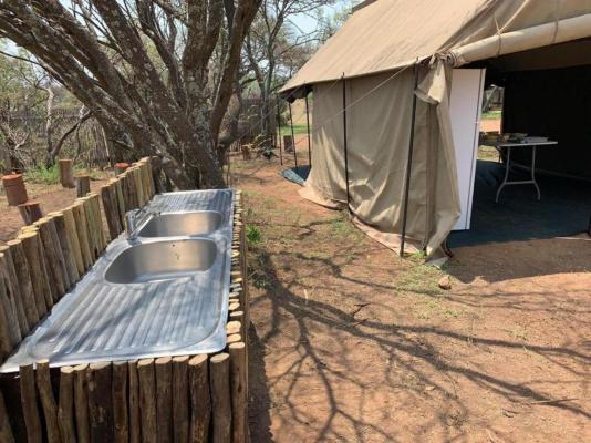 Little Zebra Tents