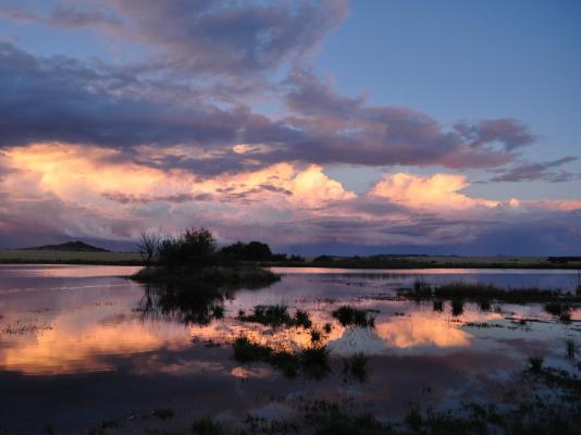 De Oude Kraal Country Estate - 255644